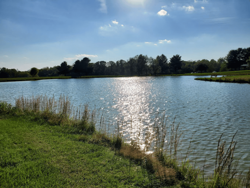 Harmony Lake