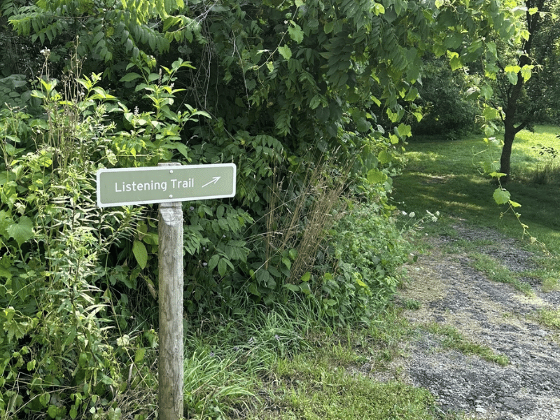 Listening Trail