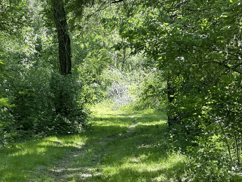 North Loop Bridle Trail at Paint Creek State Park