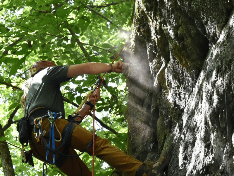 Rock Climbing at Paint Creek State Park