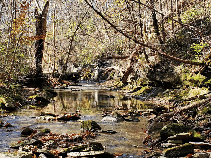 Prothonotary Trail