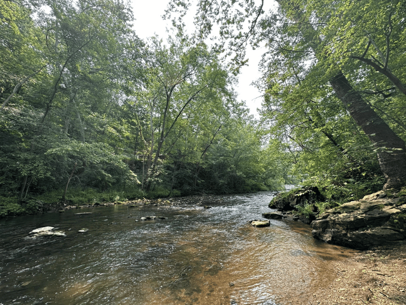 Which Wet Willow Trail